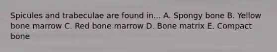 Spicules and trabeculae are found in... A. Spongy bone B. Yellow bone marrow C. Red bone marrow D. Bone matrix E. Compact bone