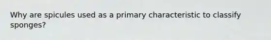 Why are spicules used as a primary characteristic to classify sponges?