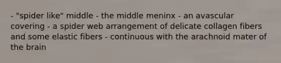 - "spider like" middle - the middle meninx - an avascular covering - a spider web arrangement of delicate collagen fibers and some elastic fibers - continuous with the arachnoid mater of <a href='https://www.questionai.com/knowledge/kLMtJeqKp6-the-brain' class='anchor-knowledge'>the brain</a>