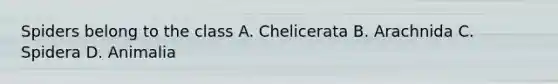 Spiders belong to the class A. Chelicerata B. Arachnida C. Spidera D. Animalia