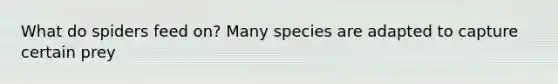 What do spiders feed on? Many species are adapted to capture certain prey