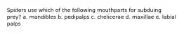 Spiders use which of the following mouthparts for subduing prey? a. mandibles b. pedipalps c. chelicerae d. maxillae e. labial palps