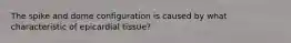 The spike and dome configuration is caused by what characteristic of epicardial tissue?