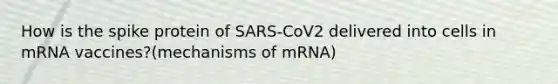 How is the spike protein of SARS-CoV2 delivered into cells in mRNA vaccines?(mechanisms of mRNA)