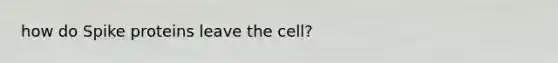 how do Spike proteins leave the cell?