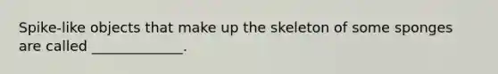 Spike-like objects that make up the skeleton of some sponges are called _____________.
