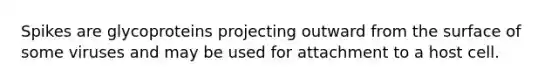 Spikes are glycoproteins projecting outward from the surface of some viruses and may be used for attachment to a host cell.