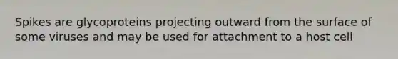 Spikes are glycoproteins projecting outward from the surface of some viruses and may be used for attachment to a host cell