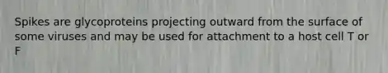 Spikes are glycoproteins projecting outward from the surface of some viruses and may be used for attachment to a host cell T or F