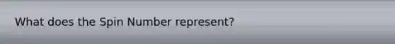 What does the Spin Number represent?
