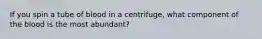 If you spin a tube of blood in a centrifuge, what component of the blood is the most abundant?