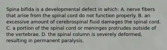 Spina bifida is a developmental defect in which: A. nerve fibers that arise from the spinal cord do not function properly. B. an excessive amount of cerebrospinal fluid damages the spinal cord. C. a portion of the spinal cord or meninges protrudes outside of the vertebrae. D. the spinal column is severely deformed, resulting in permanent paralysis.