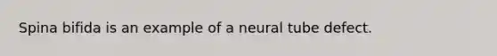 Spina bifida is an example of a neural tube defect.