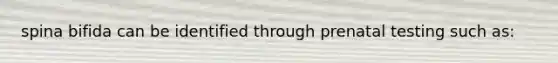 spina bifida can be identified through prenatal testing such as: