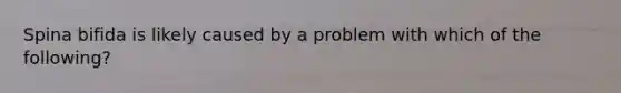 Spina bifida is likely caused by a problem with which of the following?