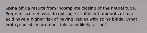 Spina bifida results from incomplete closing of the neural tube. Pregnant women who do not ingest sufficient amounts of folic acid have a higher risk of having babies with spina bifida. What embryonic structure does folic acid likely act on?