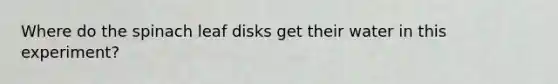 Where do the spinach leaf disks get their water in this experiment?