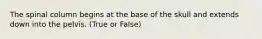 The spinal column begins at the base of the skull and extends down into the pelvis. (True or False)