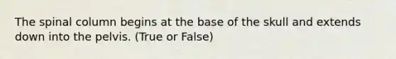 The spinal column begins at the base of the skull and extends down into the pelvis. (True or False)