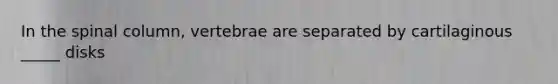 In the spinal column, vertebrae are separated by cartilaginous _____ disks