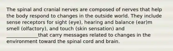 The spinal and cranial nerves are composed of nerves that help the body respond to changes in the outside world. They include sense receptors for sight (eye), hearing and balance (ear)m smell (olfactory), and touch (skin sensation) and _____________that carry messages related to changes in the environment toward the spinal cord and brain.