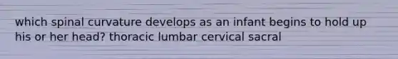 which spinal curvature develops as an infant begins to hold up his or her head? thoracic lumbar cervical sacral