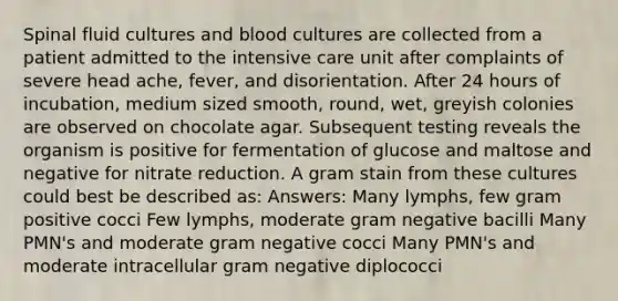 Spinal fluid cultures and blood cultures are collected from a patient admitted to the intensive care unit after complaints of severe head ache, fever, and disorientation. After 24 hours of incubation, medium sized smooth, round, wet, greyish colonies are observed on chocolate agar. Subsequent testing reveals the organism is positive for fermentation of glucose and maltose and negative for nitrate reduction. A gram stain from these cultures could best be described as: Answers: Many lymphs, few gram positive cocci Few lymphs, moderate gram negative bacilli Many PMN's and moderate gram negative cocci Many PMN's and moderate intracellular gram negative diplococci