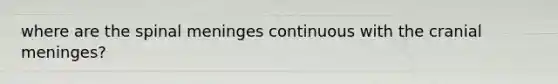 where are the spinal meninges continuous with the cranial meninges?