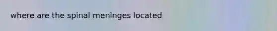 where are the spinal meninges located