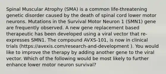 Spinal Muscular Atrophy (SMA) is a common life-threatening genetic disorder caused by the death of spinal cord lower motor neurons. Mutations in the Survival Motor Neuron 1 (SMN1) gene are frequently observed. A new gene replacement based therapeutic has been developed using a viral vector that re-expresses SMN1. The compound AVXS-101, is now in clinical trials (https://avexis.com/research-and-development ). You would like to improve the therapy by adding another gene to the viral vector. Which of the following would be most likely to further enhance lower motor neuron survival?