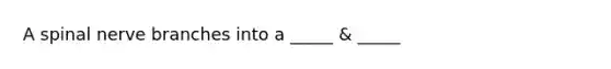 A spinal nerve branches into a _____ & _____
