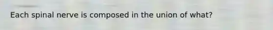 Each spinal nerve is composed in the union of what?