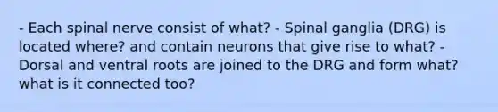 - Each spinal nerve consist of what? - Spinal ganglia (DRG) is located where? and contain neurons that give rise to what? - Dorsal and ventral roots are joined to the DRG and form what? what is it connected too?