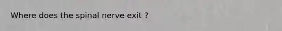 Where does the spinal nerve exit ?