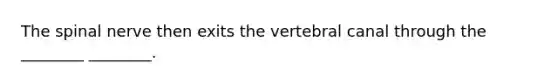 The spinal nerve then exits the vertebral canal through the ________ ________.