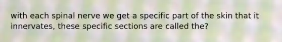 with each spinal nerve we get a specific part of the skin that it innervates, these specific sections are called the?