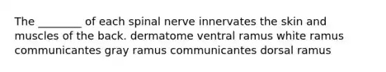 The ________ of each spinal nerve innervates the skin and muscles of the back. dermatome ventral ramus white ramus communicantes gray ramus communicantes dorsal ramus