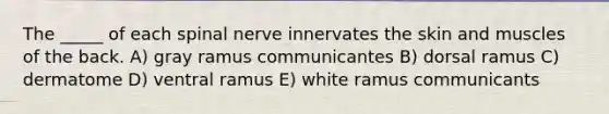 The _____ of each spinal nerve innervates the skin and muscles of the back. A) gray ramus communicantes B) dorsal ramus C) dermatome D) ventral ramus E) white ramus communicants