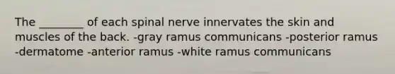 The ________ of each spinal nerve innervates the skin and muscles of the back. -gray ramus communicans -posterior ramus -dermatome -anterior ramus -white ramus communicans