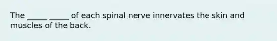 The _____ _____ of each spinal nerve innervates the skin and muscles of the back.