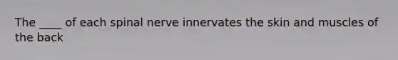 The ____ of each spinal nerve innervates the skin and muscles of the back