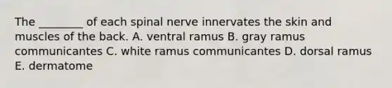 The ________ of each spinal nerve innervates the skin and muscles of the back. A. ventral ramus B. gray ramus communicantes C. white ramus communicantes D. dorsal ramus E. dermatome