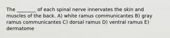 The ________ of each spinal nerve innervates the skin and muscles of the back. A) white ramus communicantes B) gray ramus communicantes C) dorsal ramus D) ventral ramus E) dermatome