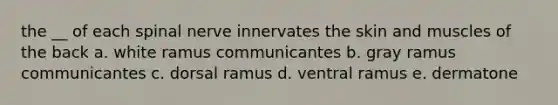 the __ of each spinal nerve innervates the skin and muscles of the back a. white ramus communicantes b. gray ramus communicantes c. dorsal ramus d. ventral ramus e. dermatone