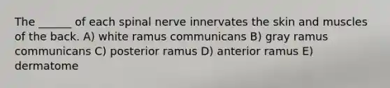 The ______ of each spinal nerve innervates the skin and muscles of the back. A) white ramus communicans B) gray ramus communicans C) posterior ramus D) anterior ramus E) dermatome