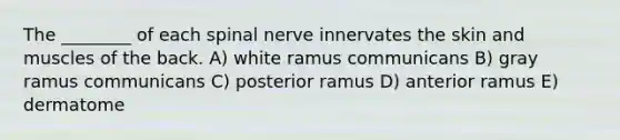 The ________ of each spinal nerve innervates the skin and muscles of the back. A) white ramus communicans B) gray ramus communicans C) posterior ramus D) anterior ramus E) dermatome