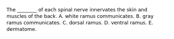 The ________ of each spinal nerve innervates the skin and muscles of the back. A. white ramus communicates. B. gray ramus communicates. C. dorsal ramus. D. ventral ramus. E. dermatome.