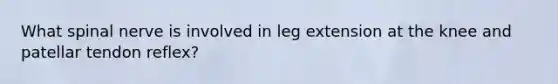 What spinal nerve is involved in leg extension at the knee and patellar tendon reflex?