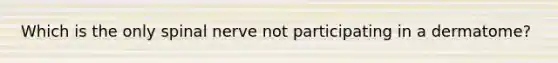 Which is the only spinal nerve not participating in a dermatome?