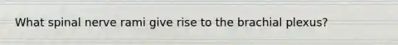 What spinal nerve rami give rise to the brachial plexus?